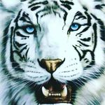 Hector jovel - @hector.jovel - Instagram