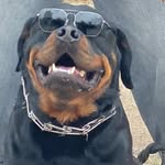 @hector_khan1401 - Instagram