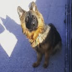 Hector Khan - @hectorkhan25 - Instagram