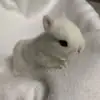Hector Kim - @hector.kim4 - TikTok