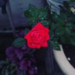 ✨𝓗𝓮𝓬𝓽𝓸𝓻 𝓴𝓵𝓮𝓲𝓷 ✨ - @hector_klein - Instagram