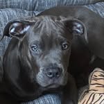 @hector_und_koch - Instagram