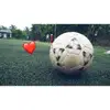 user6967416371861 - @hectorkoch0kh9ou - TikTok