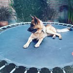 hector lam - @nnnacholamas - Instagram