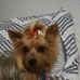Hector Lamourt-Sierra - Facebook