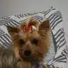 hectorlamourtsier - @hectorlamourtsier - TikTok