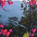 Hector Lanza - Facebook
