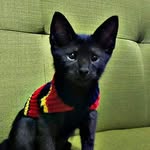 Héctor, Lola, Laurel y Dalila - @hectorylola - Instagram