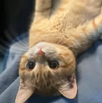 Hector Lee - Facebook