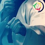 Hector lee Tkd 🏋⚓ - @avihhectorleetkd - Instagram
