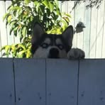 Hector Liu - Facebook