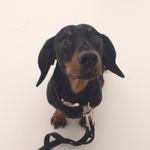 Hector Longbody - @hectorlongbody - Instagram