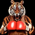 Hector Lugo - @boxing_tiger - Instagram