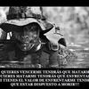 Hector Luque - @paracaidistah - TikTok