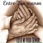 Hector Melgar - @melgar.hector - Instagram