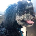 Hector Menchaca - @hector.menchaca.752 - Instagram