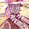 Hector - @cathector - TikTok
