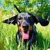 Hector - @hector.vagyok - TikTok