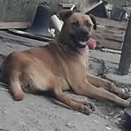 Hector Obregon - Facebook