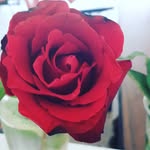 HECTOR PELAEZ APOLONIO - @hectorpelaez136 - Instagram