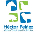Hector Pelaez Vet - @vet_hectorpelaez - Instagram