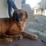 Hector Jose Phillips - Facebook
