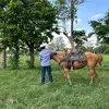 Héctor Ramón - @hectorramn - TikTok