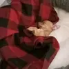 Hector Rascon - @claudia.leyva3 - TikTok
