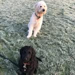 Hector & Pablo Rogers-Craske - @thelifeofhectorandpablo - Instagram
