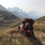 Hector Bennett-Rogers - @hectorbennettrogers - Instagram