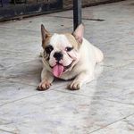 Hector Saez - @hector_saez_e - Instagram