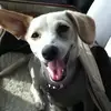 Hector Saez - @2181861323 - TikTok