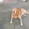Hector Saez - @hector.saez12 - TikTok