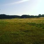 hector saez - @agromar_bio_bio_ - Instagram
