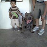 Hector Santamaria - @hector.santamaria.3958 - Instagram