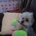 Hector Santamaria - Facebook
