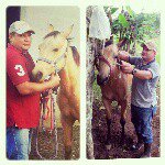 Hector Santamaria - @hector24santamaria - Instagram