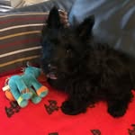 Hector - @hectorscottie - Instagram