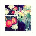 Hector Spears - @maileerp - Instagram