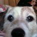 Hector Sutherland - Facebook