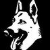 Hector Daniel Mesina Tena - Facebook