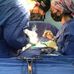 Dr. Hector Alfonso Flores Saenz Dra. Carolina Terrazas Ramirez - Facebook
