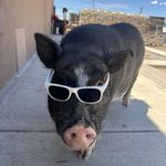Hector Terrazas - @hector.terrazas.26 - Instagram