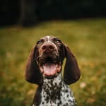 Hector Thompson - @hectorthompson477 - Instagram