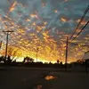 Hector Thompson - @hector.thompson - TikTok
