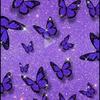 🌷🦋 - @hectorvidalrodrig8 - TikTok