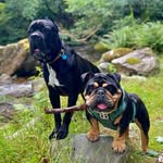 Vincent & Hector Roberts - @vincent_and_hector - Instagram