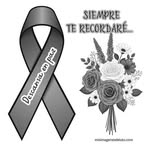 Hector Virgen Aguilar - @hectorvirgen63 - Instagram