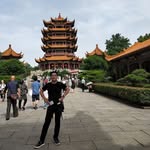 Hector Wang - @hector.wang.1441 - Instagram