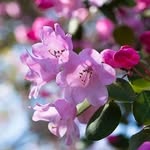 @hector_wangk_6721 - Instagram
